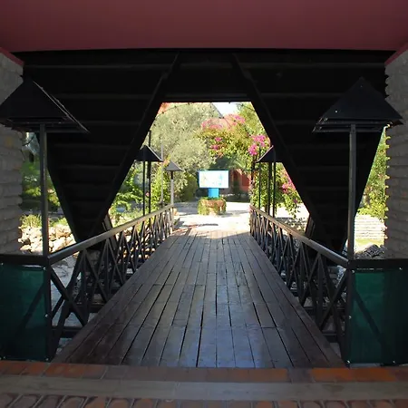 Hotel Patio Beach Club-3